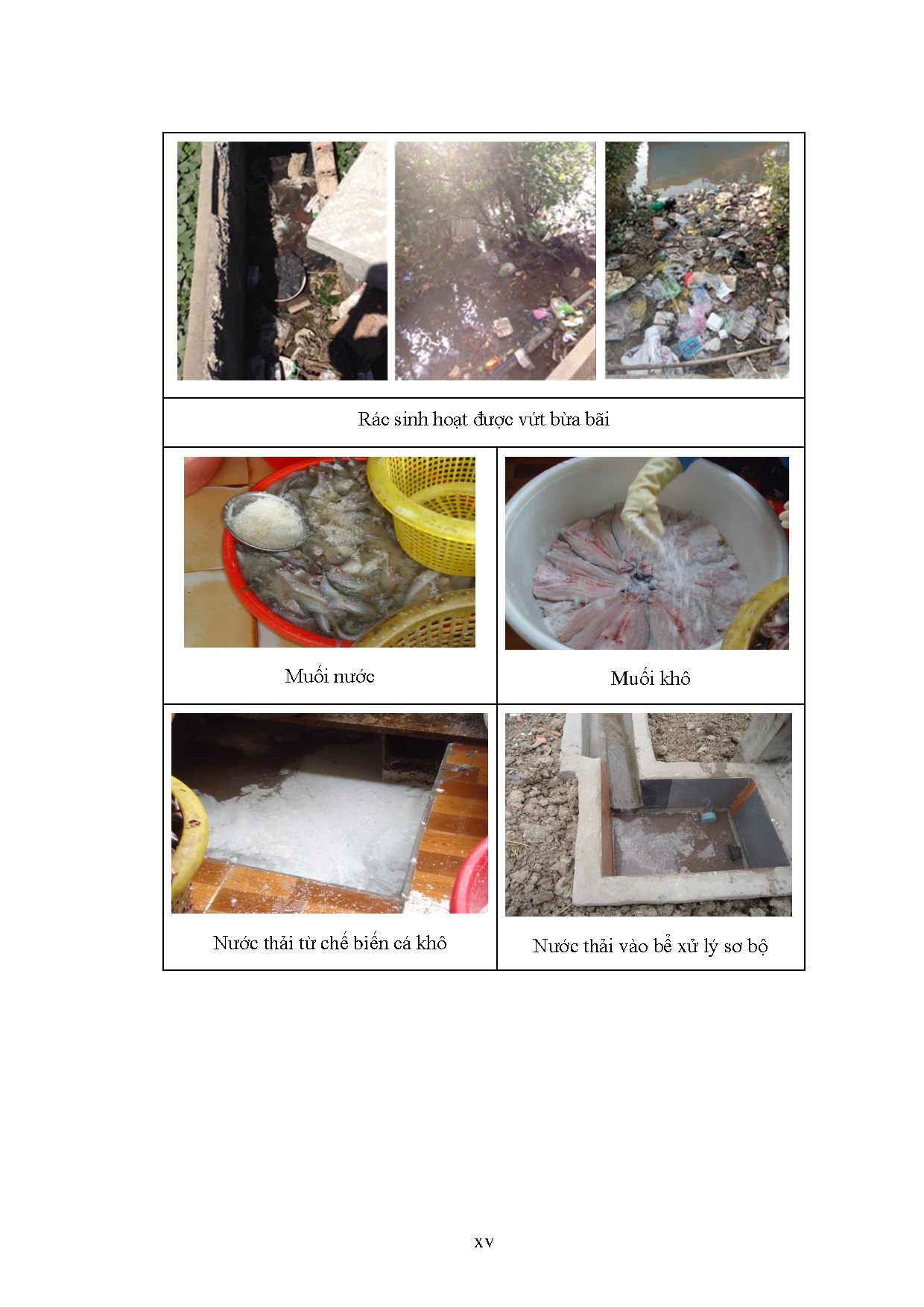 Ảnh một số trang tài liệu