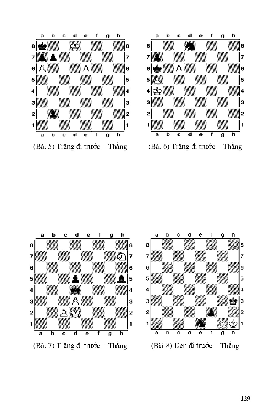Ảnh một số trang tài liệu