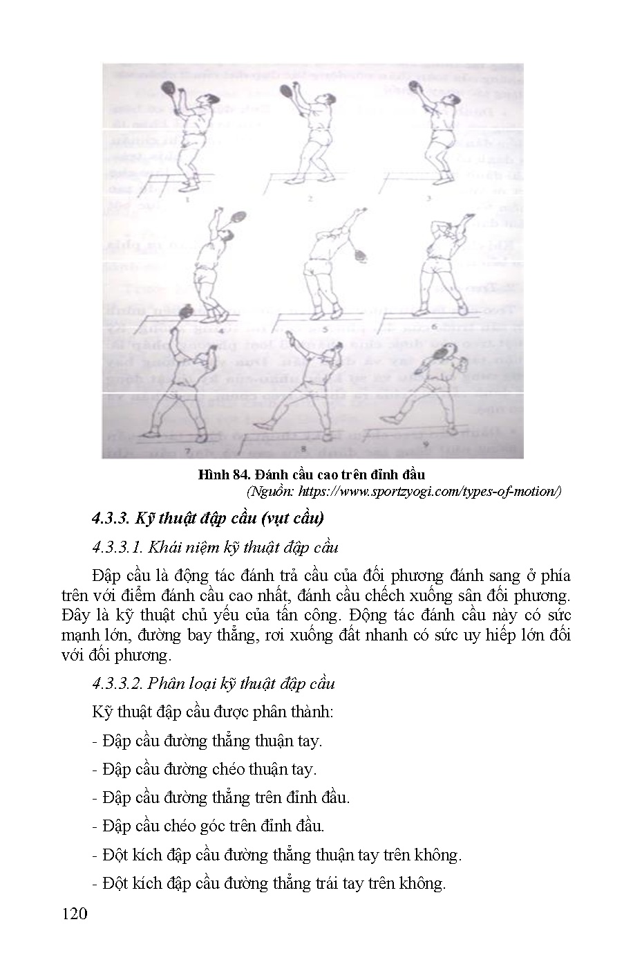 Ảnh một số trang tài liệu