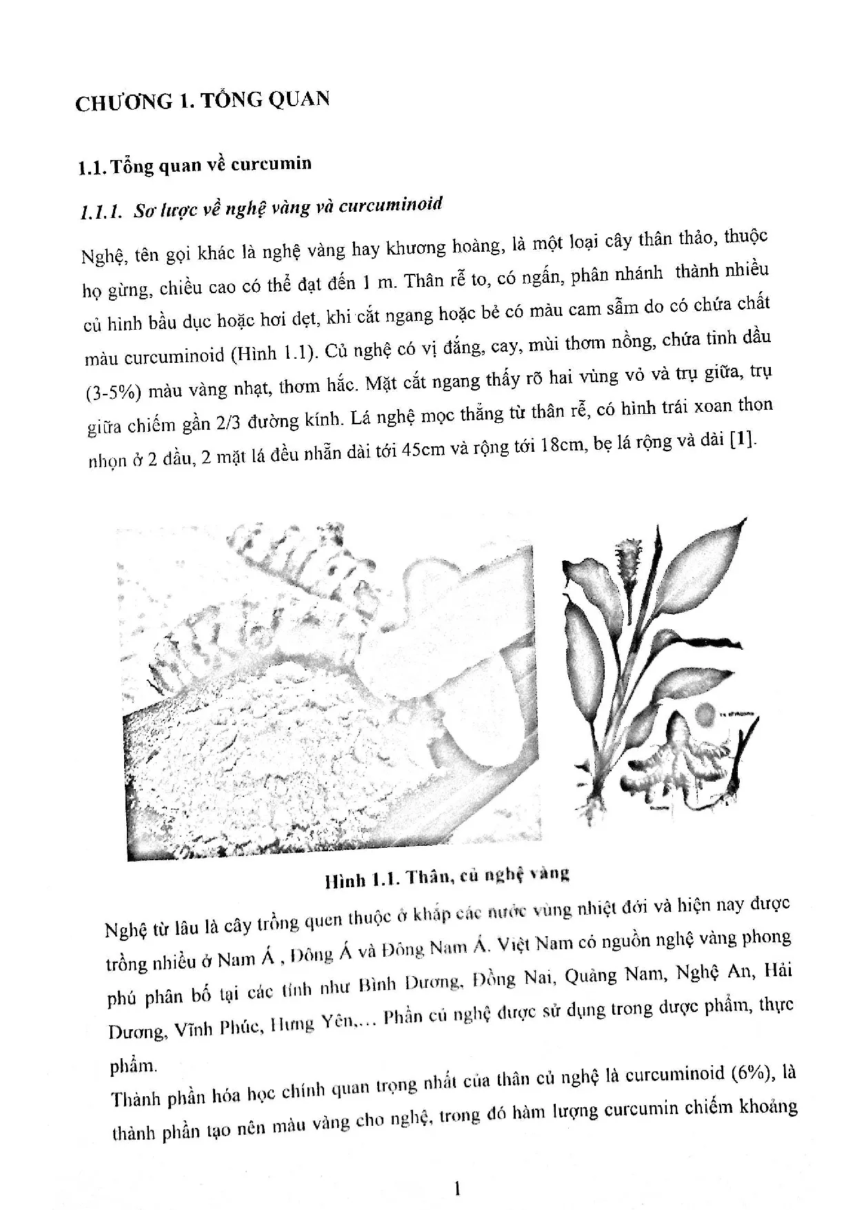 Đồ án tốt nghiệp - Tổng hợp và thử nghiệm hoạt tính kháng oxy hóa các dẫn xuất curcumin từ 3 - Trang 16