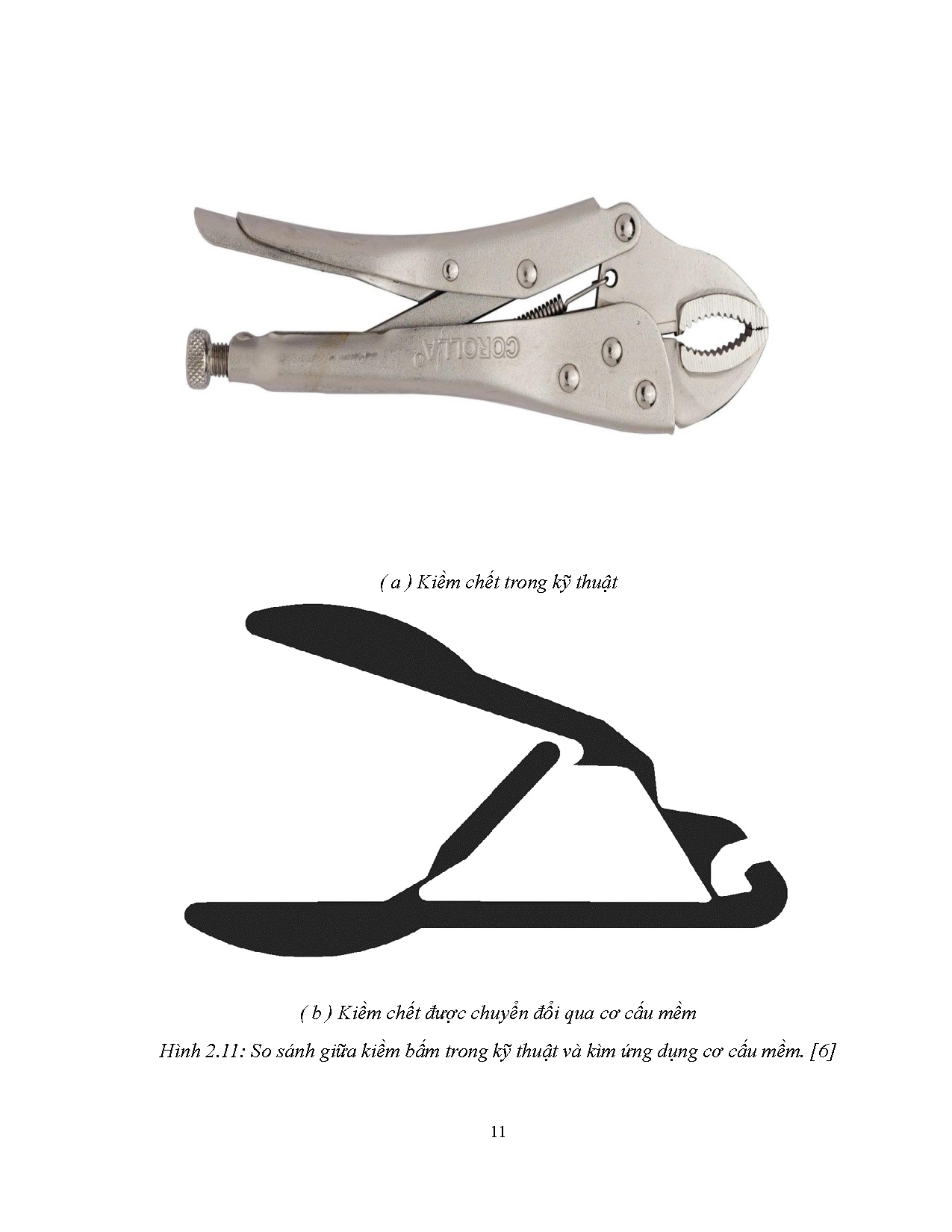 Ảnh một số trang tài liệu