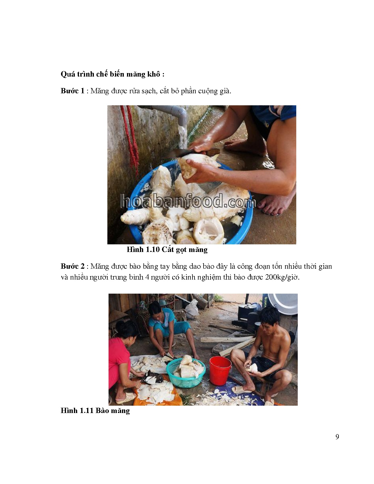 Ảnh một số trang tài liệu