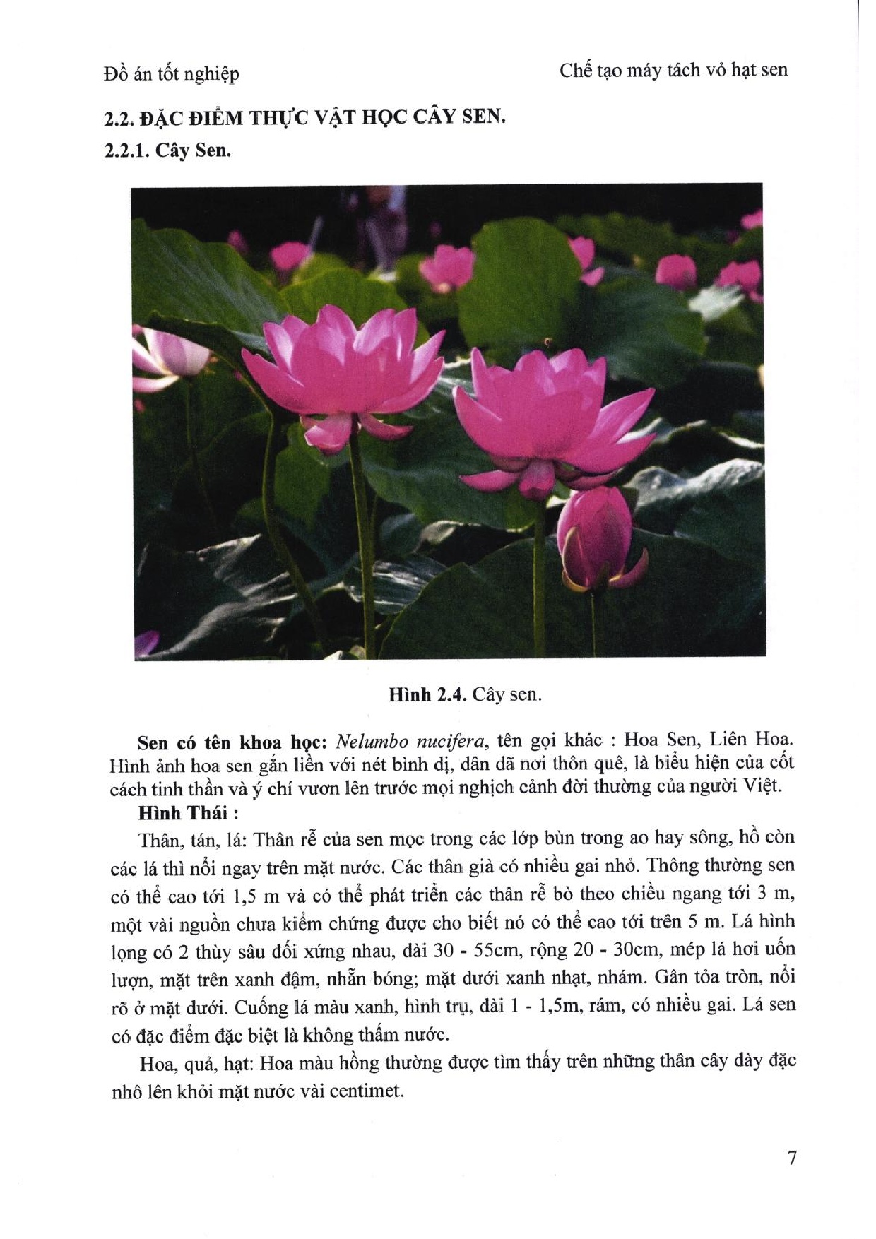 Ảnh một số trang tài liệu