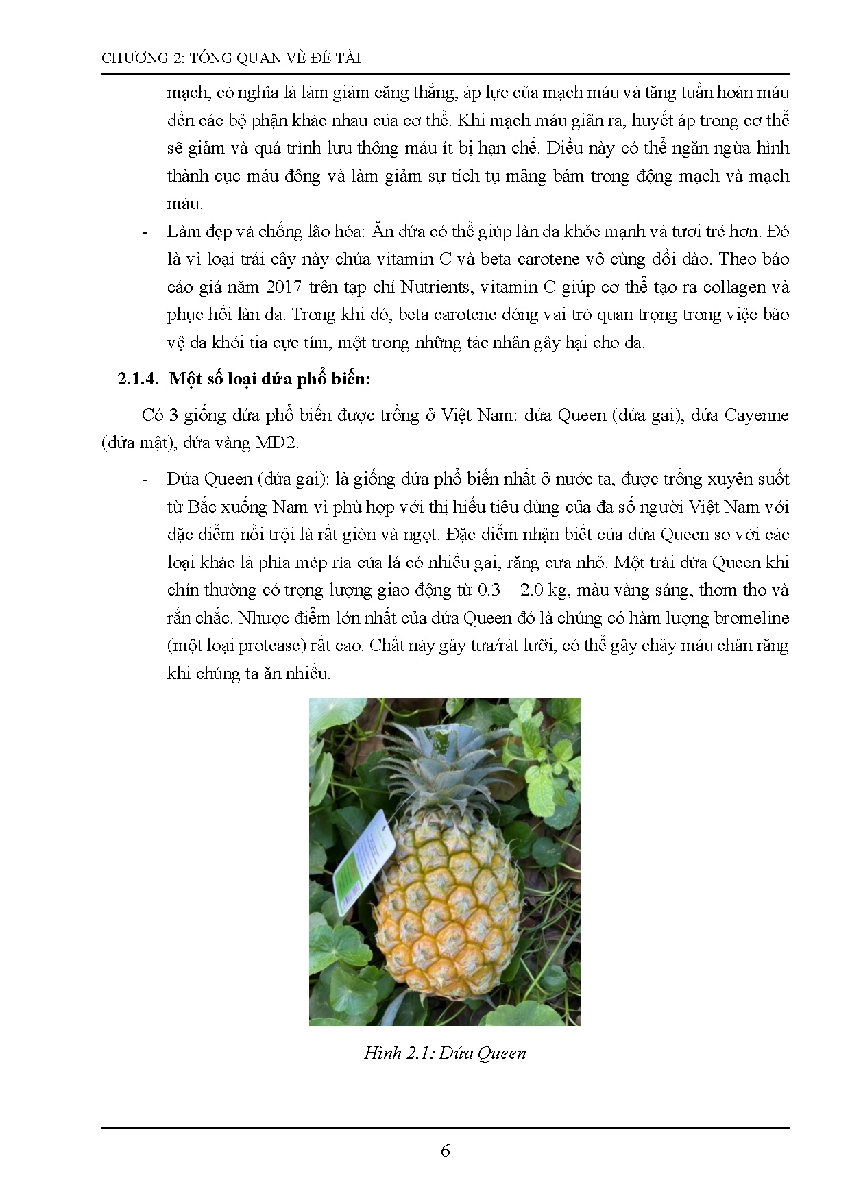 Đồ án tốt nghiệp - Thiết kế và thi công máy gọt vỏ cho quả dứa - Trang 21