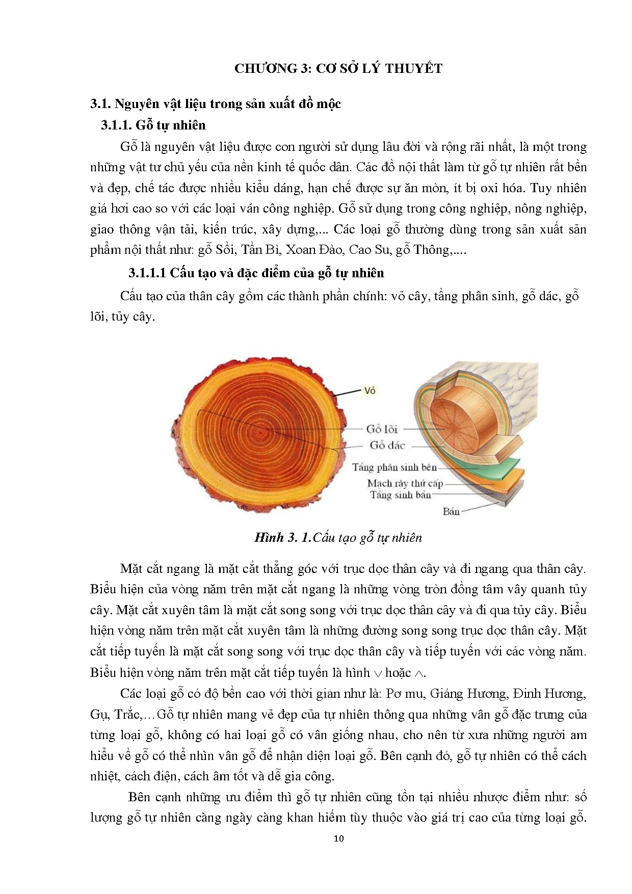 Ảnh một số trang tài liệu