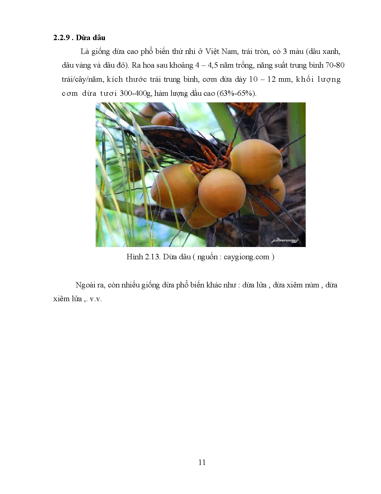 Đồ án tốt nghiệp - Thiết kế và chế tạo thử nghiệm máy gọt vỏ dừa tươi - Trang 22