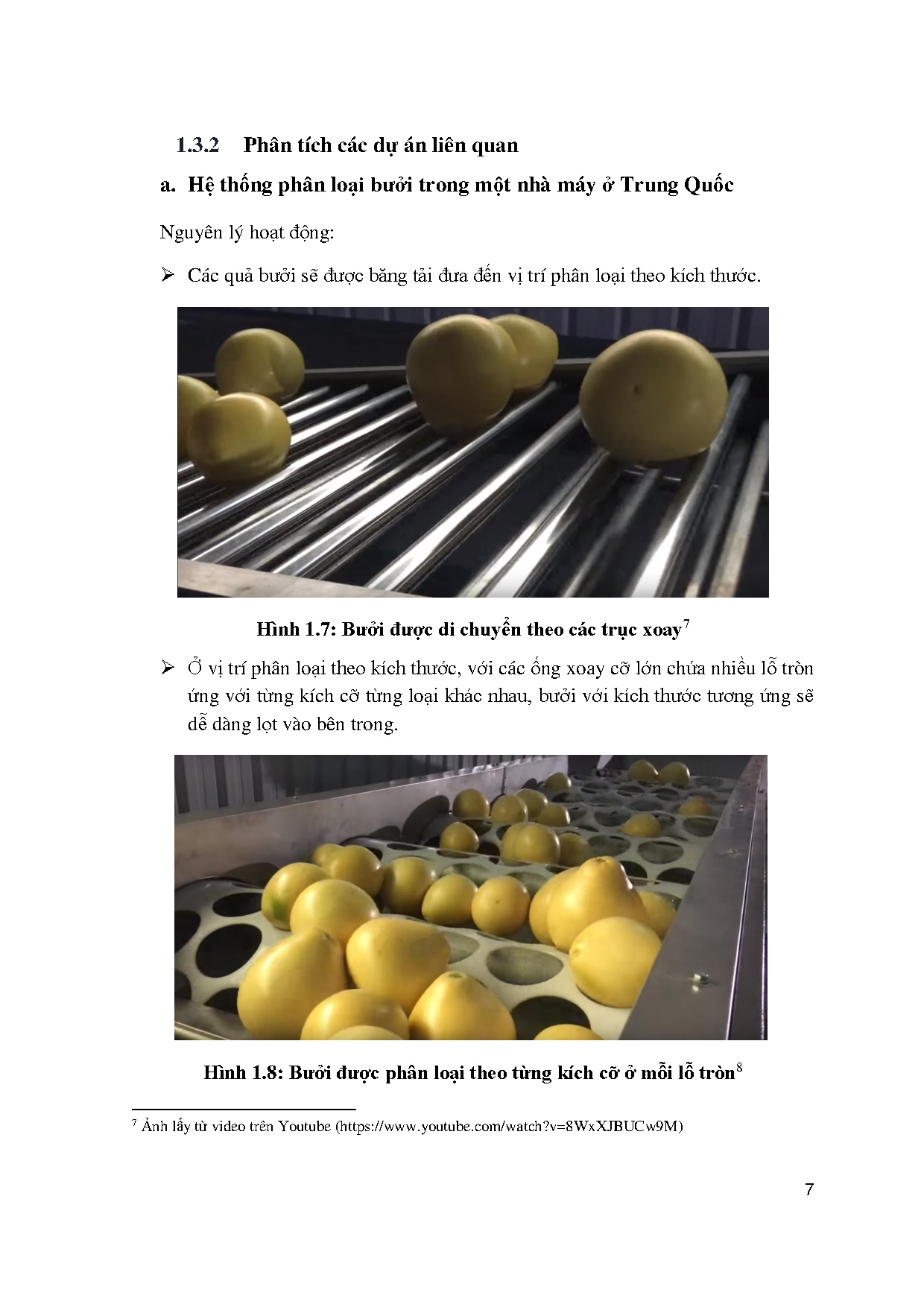 Ảnh một số trang tài liệu