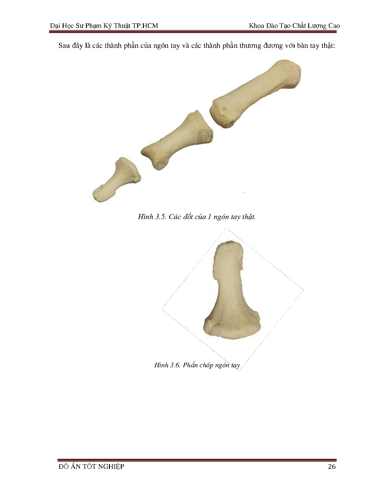 Ảnh một số trang tài liệu