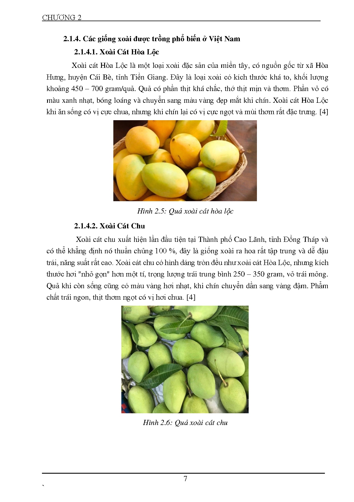 Ảnh một số trang tài liệu