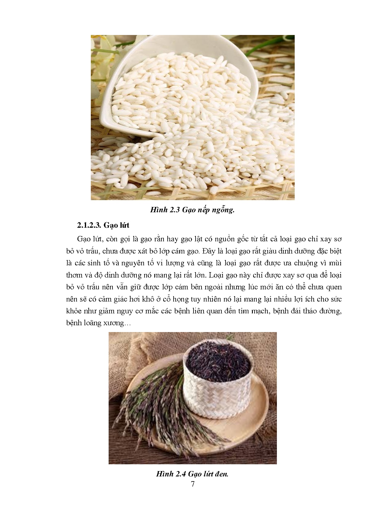 Ảnh một số trang tài liệu