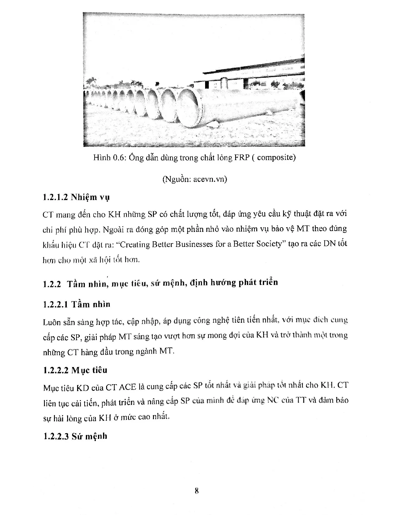 Đồ án tốt nghiệp - Xây dựng chiến lược kinh doanh của công ty TNHH ACE VN giai đoạn 2021-2025 - Trang 19