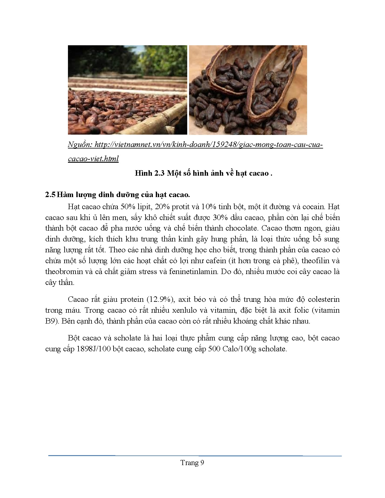 Ảnh một số trang tài liệu