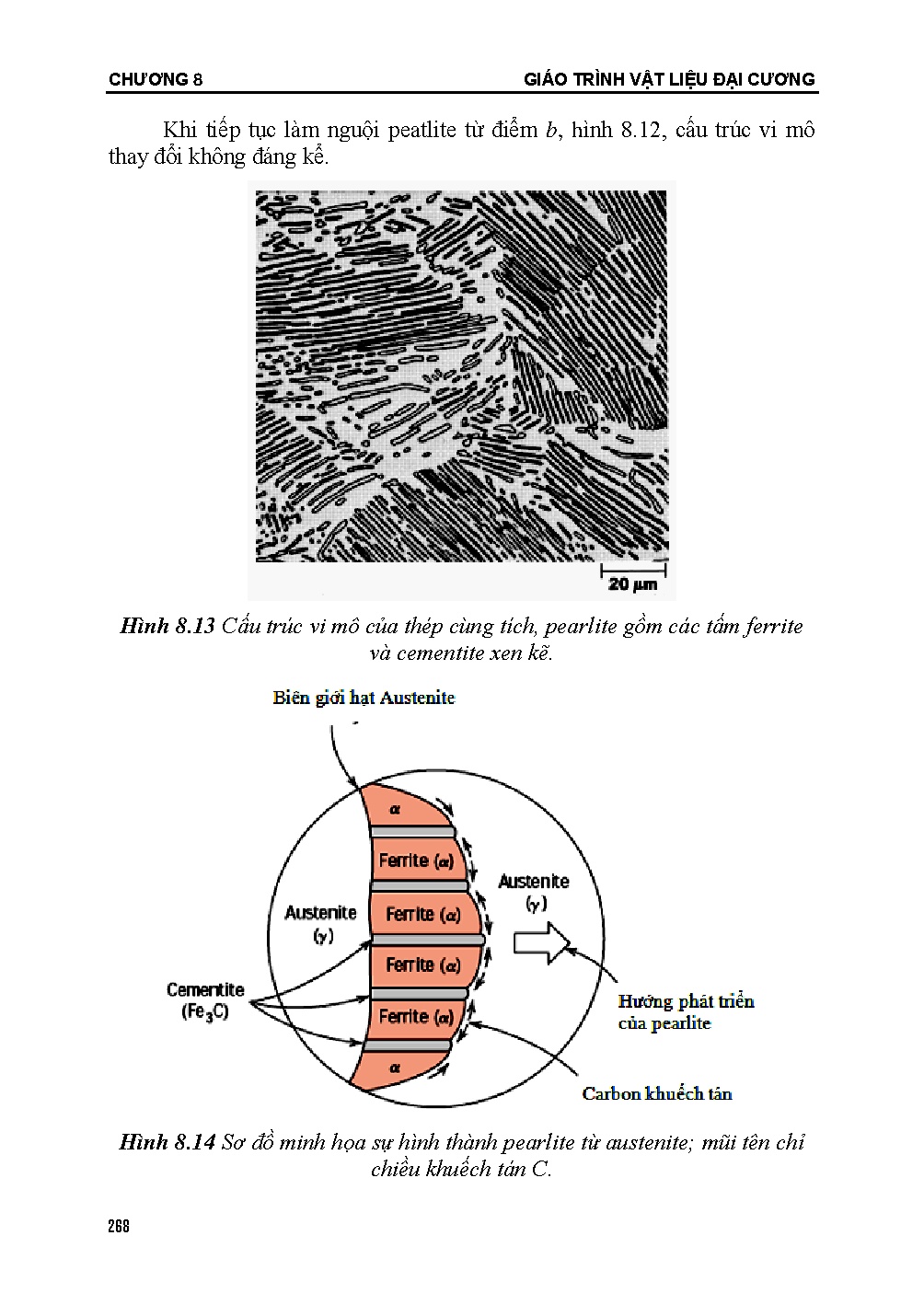 Giáo trình vật liệu đại cương (HCMUTE) - Trang 269