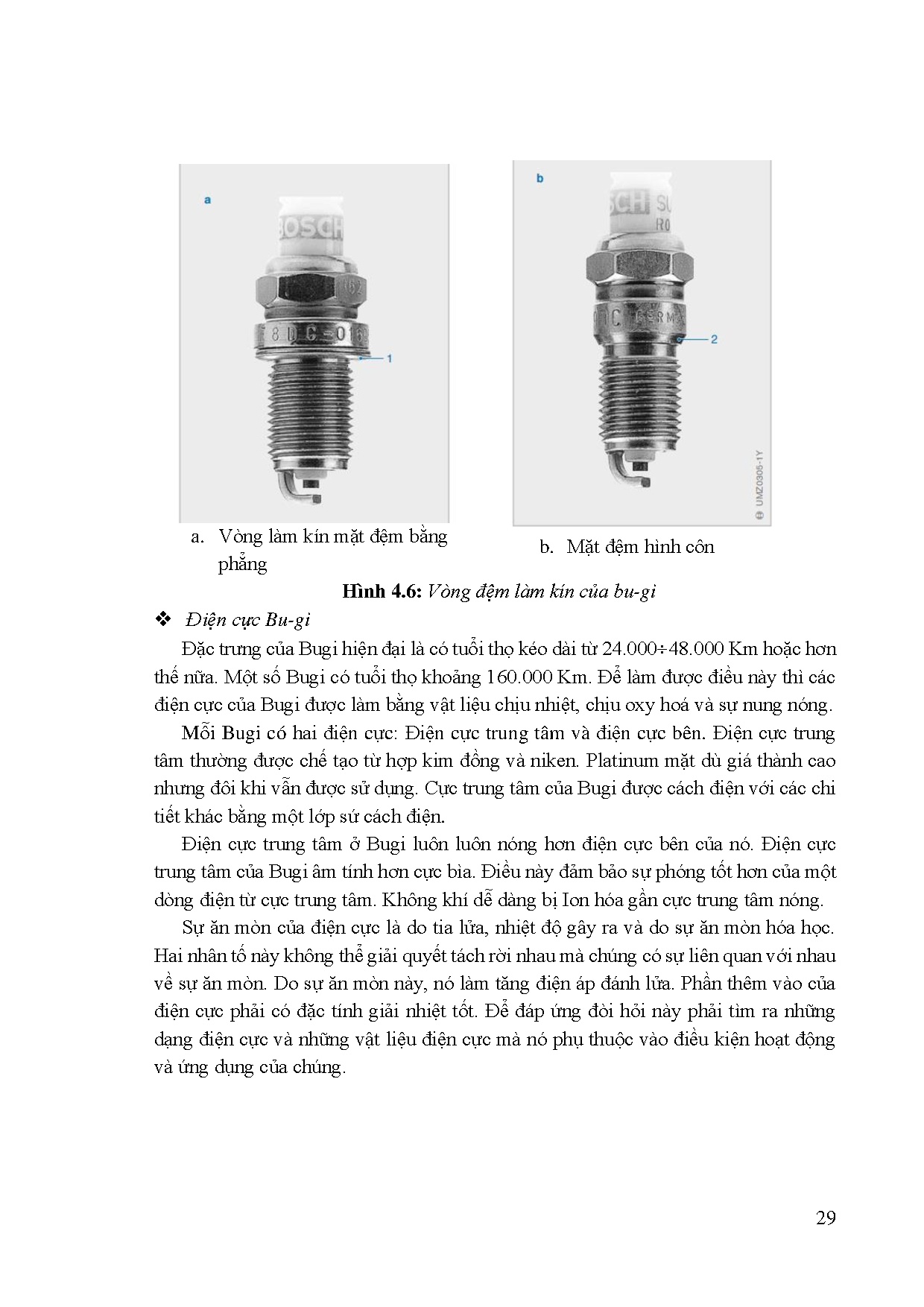 Ảnh một số trang tài liệu