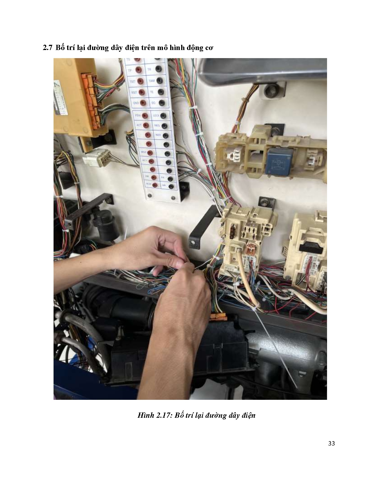 Ảnh một số trang tài liệu