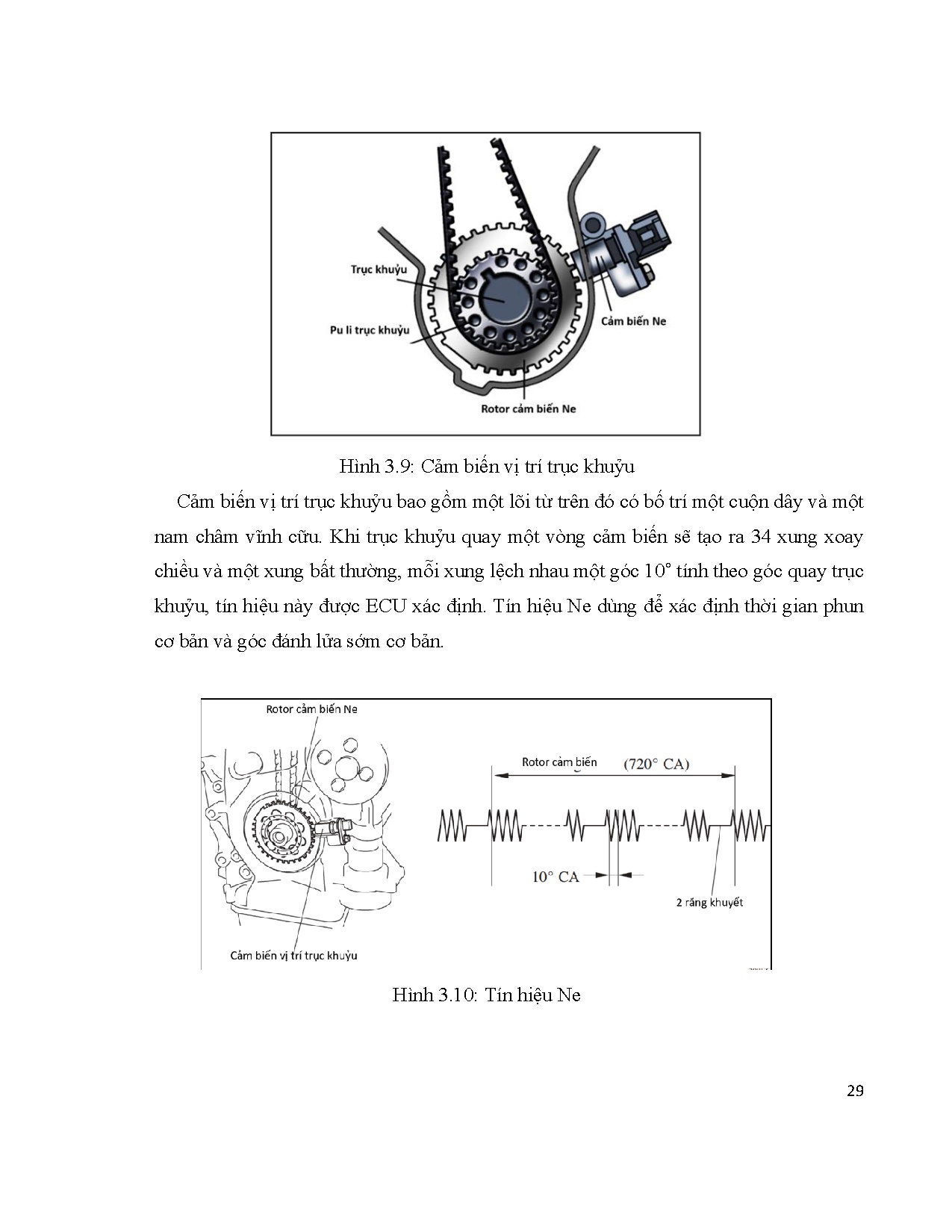 Ảnh một số trang tài liệu