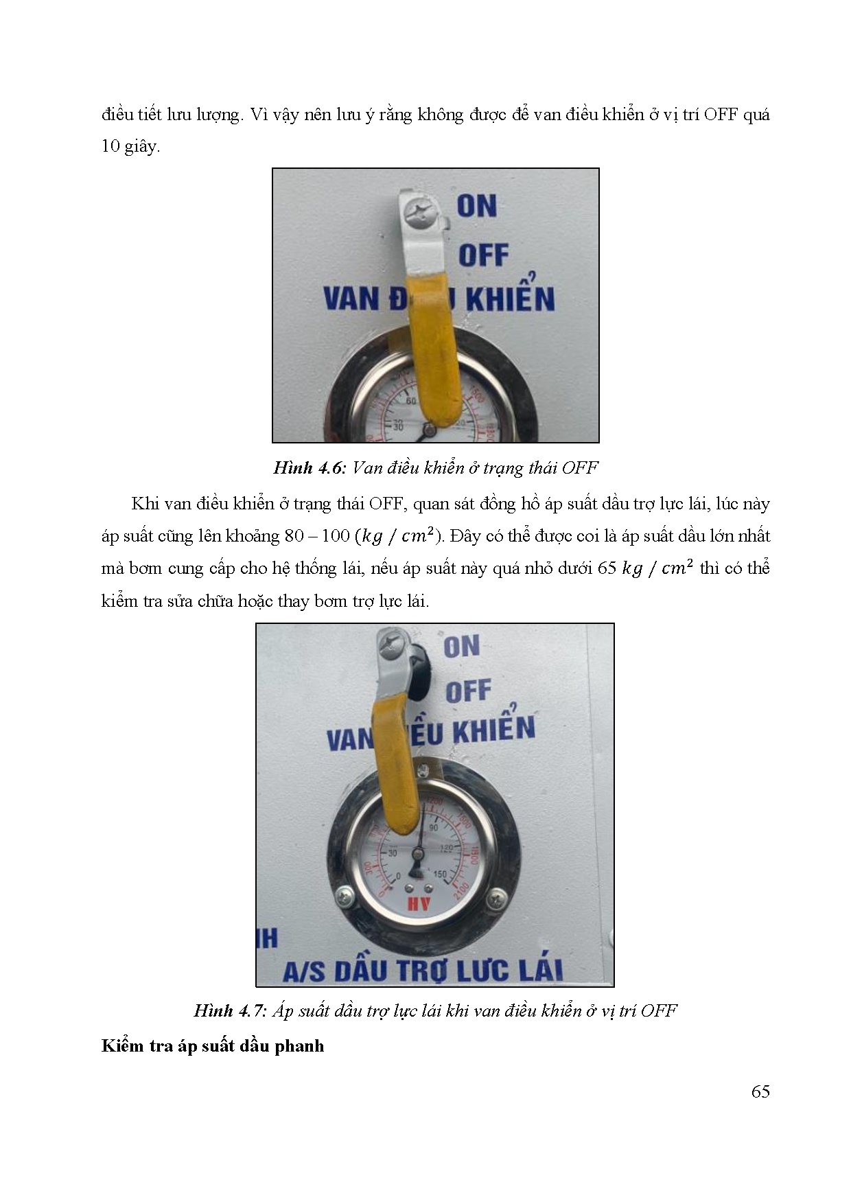 Ảnh một số trang tài liệu