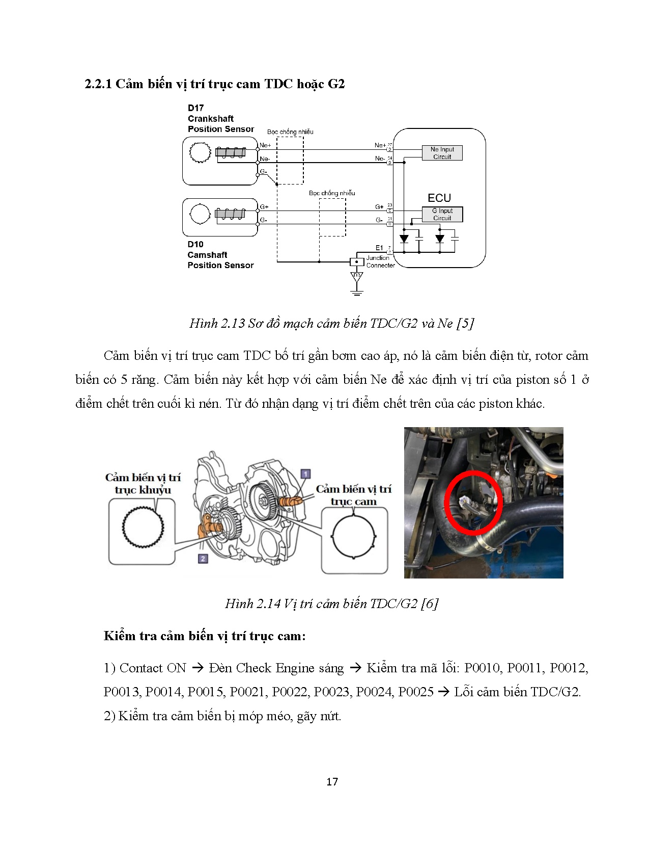Đồ án tốt nghiệp - Biên soạn tài liệu hướng dẫn thực tập động cơ diesel Common Rail Mercedes SV 2 - Trang 41