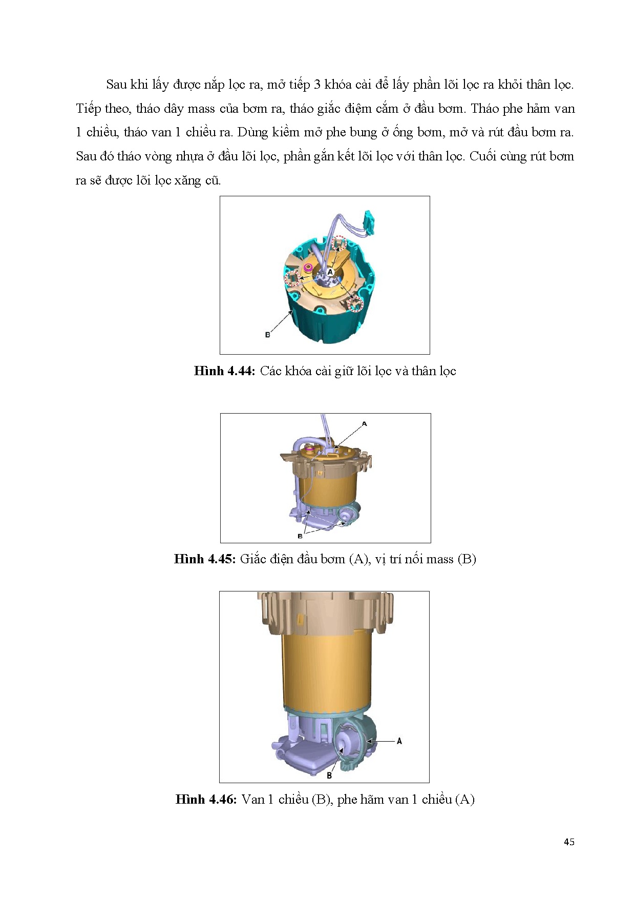 Ảnh một số trang tài liệu