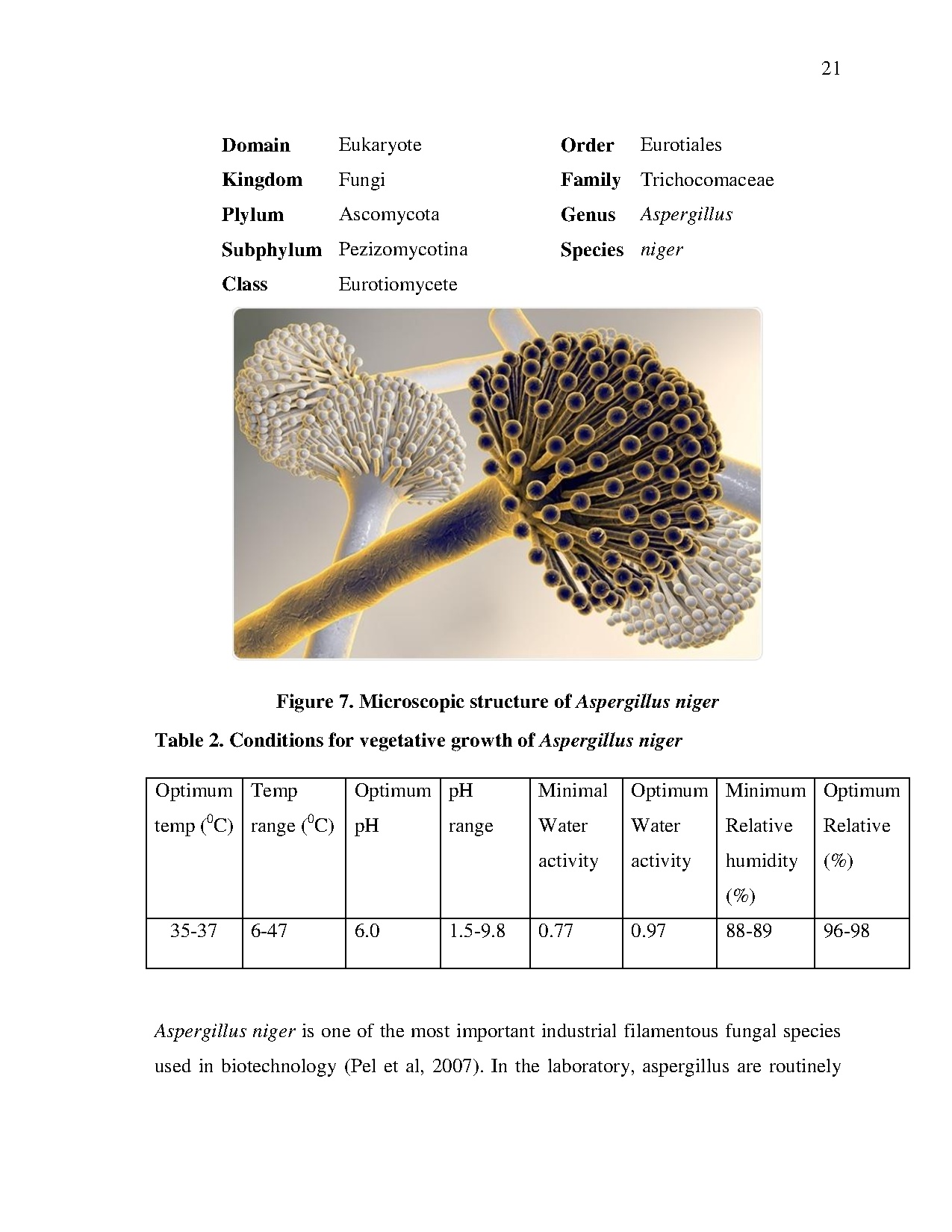 Đồ án tốt nghiệp - Phytochemical, antioxidant capacity and antifungal property screening of PESEE - Trang 29