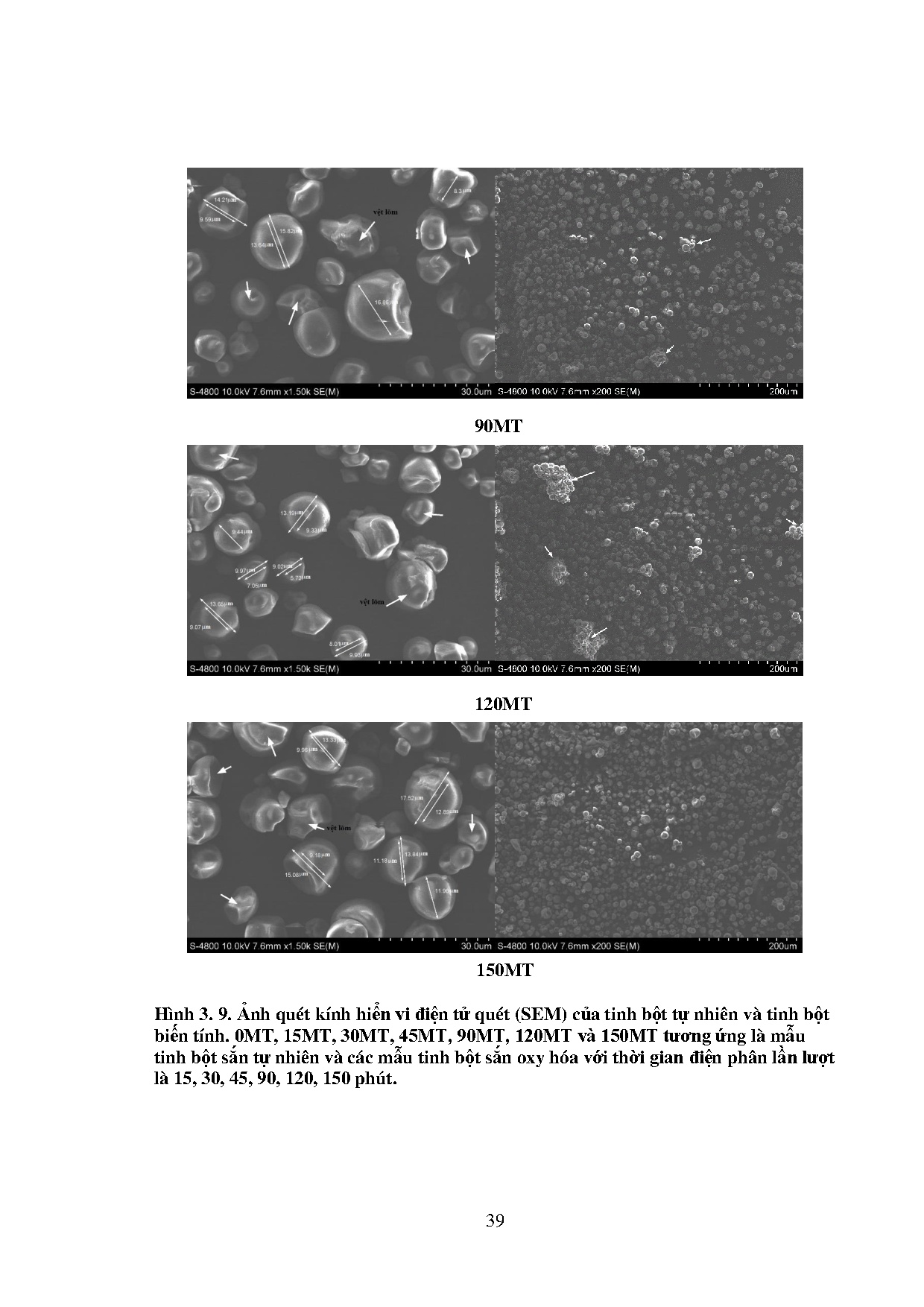Ảnh một số trang tài liệu