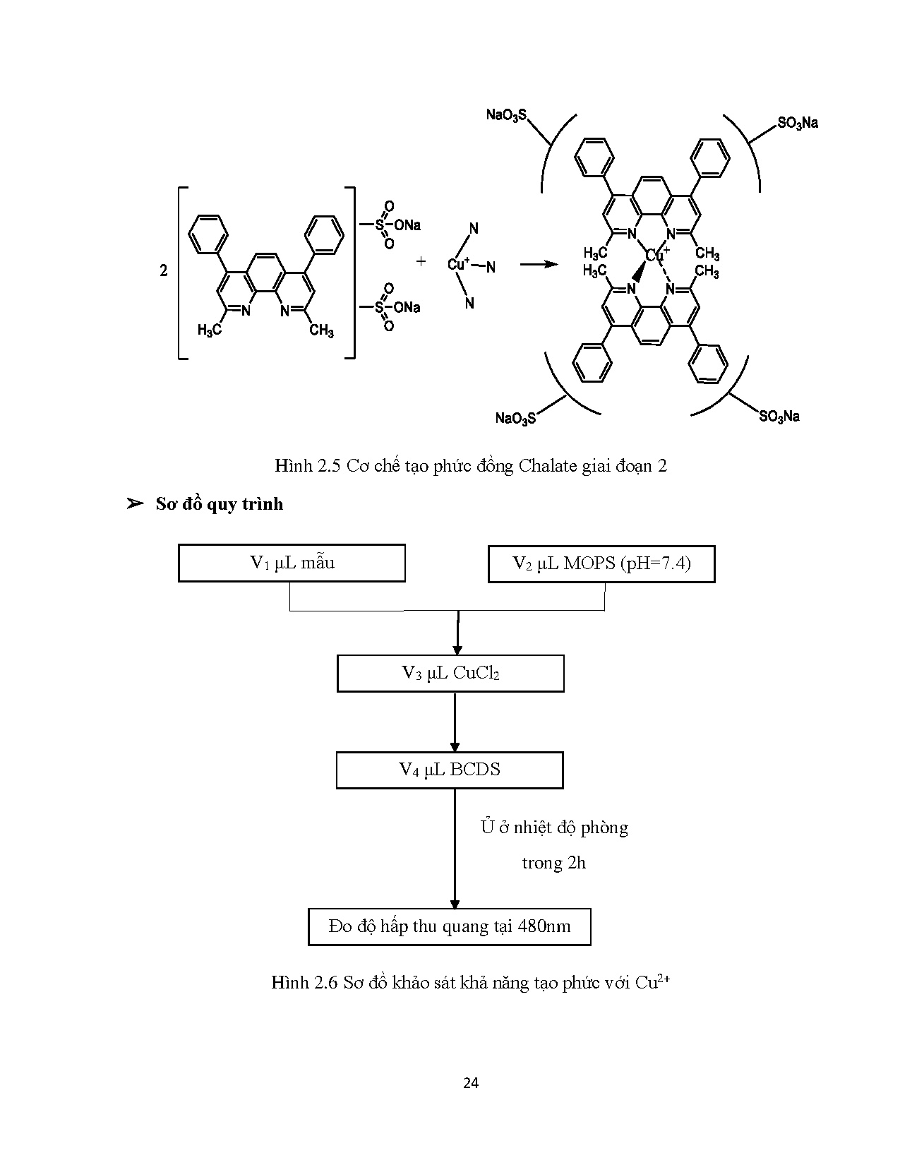 Đồ án tốt nghiệp - Nghiên cứu khả năng ức chế Tyrosynase từ phụ phẩm một số loại bơ Việt Nam - Trang 40