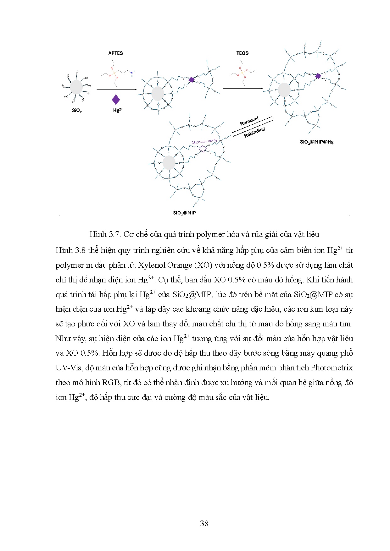 Ảnh một số trang tài liệu