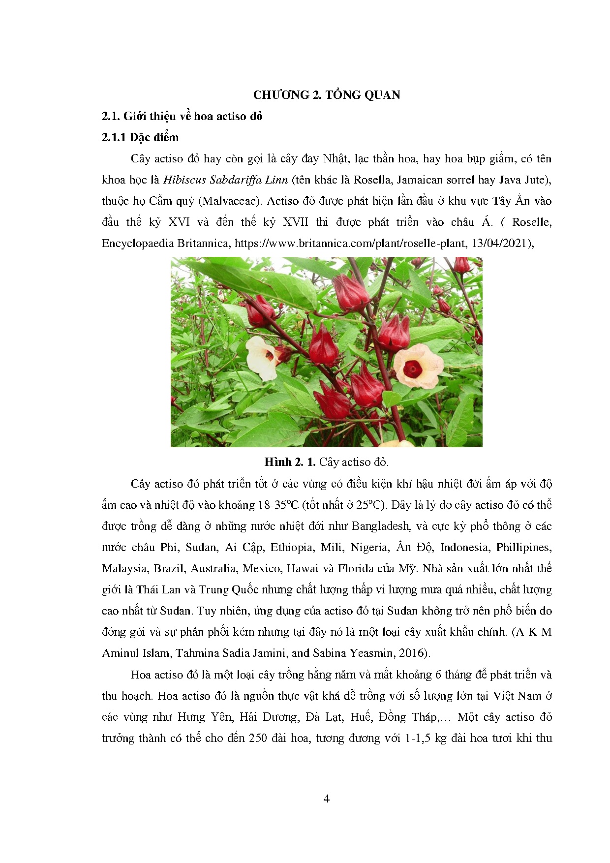 Ảnh một số trang tài liệu