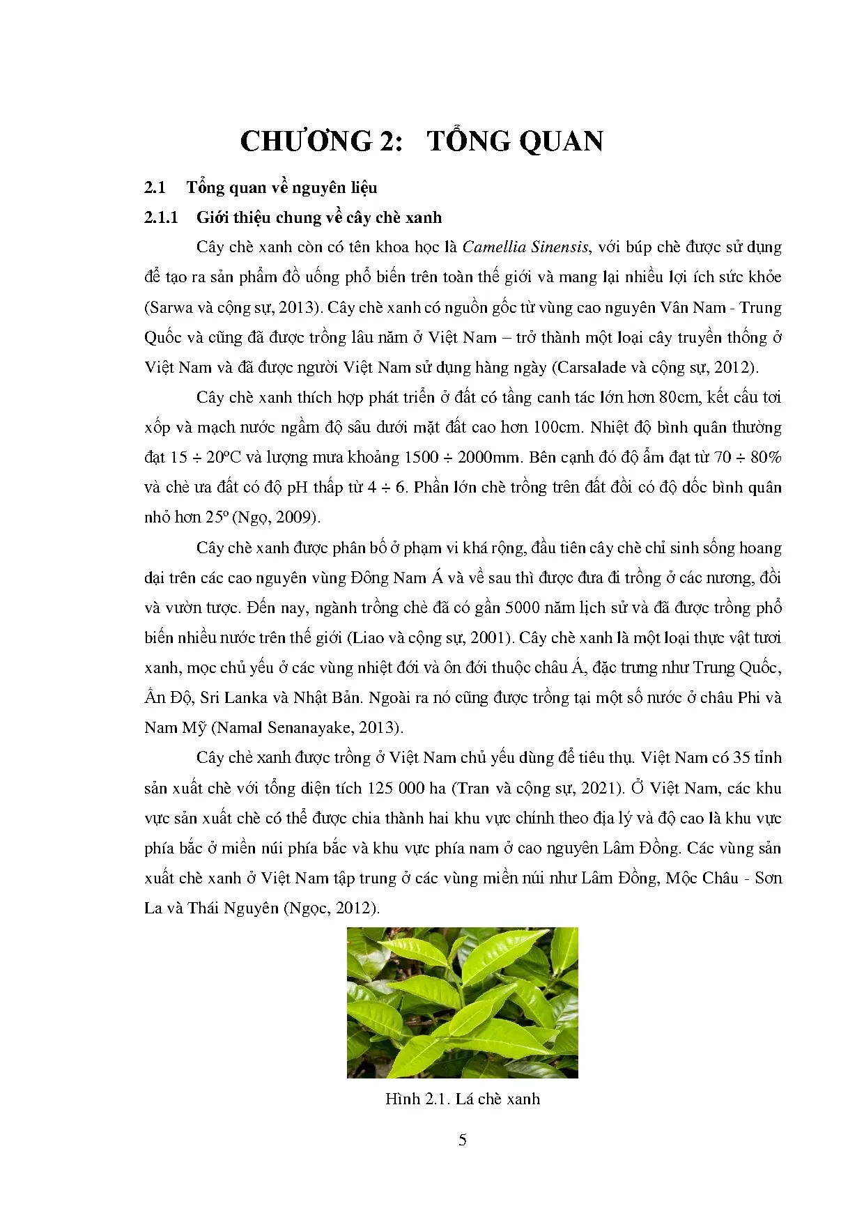 Đồ án tốt nghiệp - Nghiên cứu tối ưu hóa quá trình trích ly Polyphenol từ cây chè xanh Lâm Đồng - Trang 30