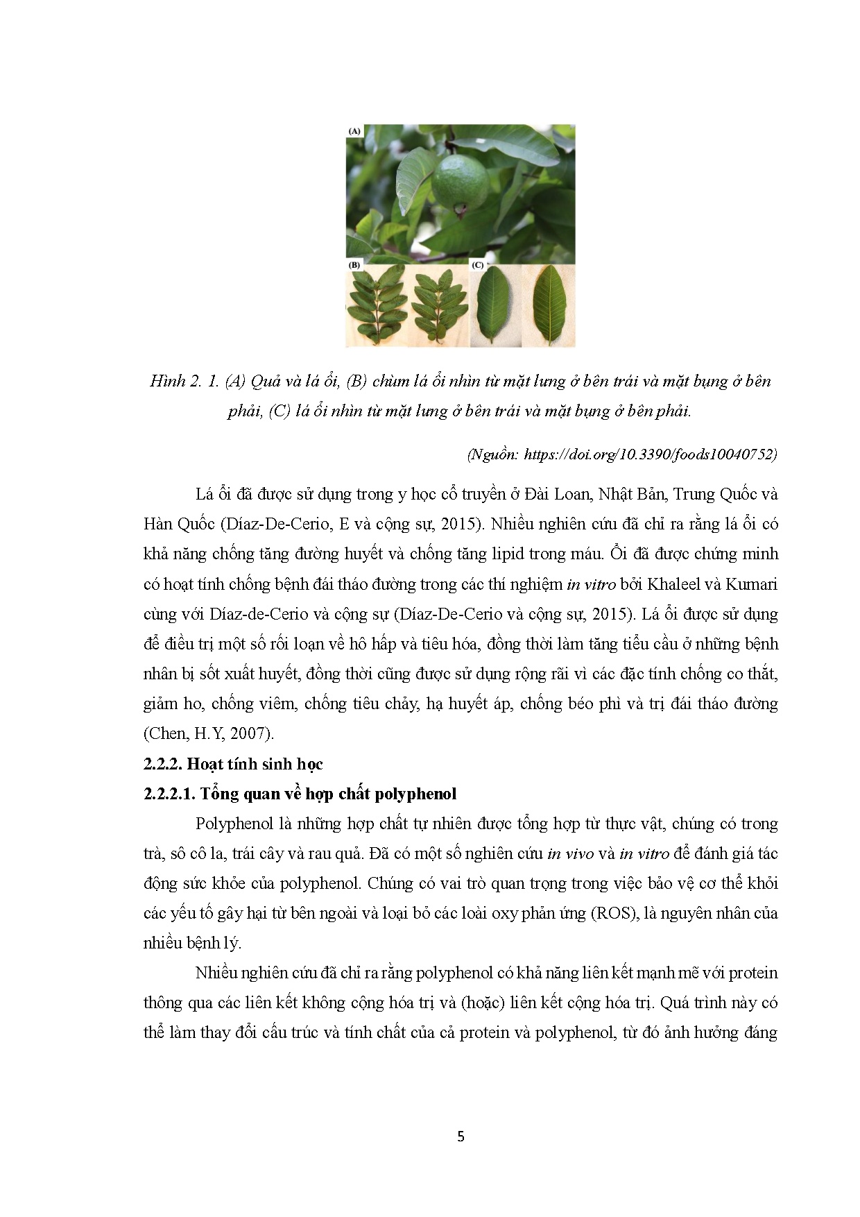 Đồ án tốt nghiệp - Ảnh hưởng của bột vi bao cao chiết lá ổi rừng đến chất lượng và hoạt tính SHCSPS - Trang 26