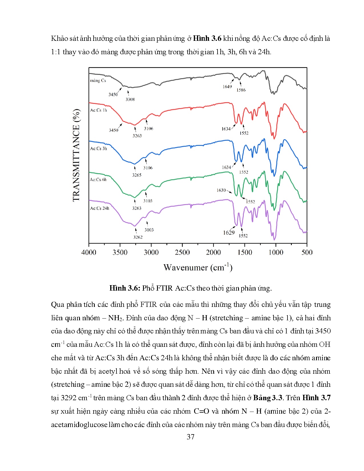 Ảnh một số trang tài liệu
