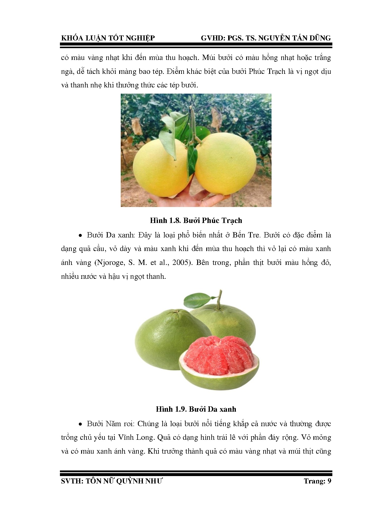 Đồ án tốt nghiệp - Nghiên cứu quy trình công nghệ sản xuất sản phẩm vỏ bưởi ướp mật ong bằng PPSĐL - Trang 29