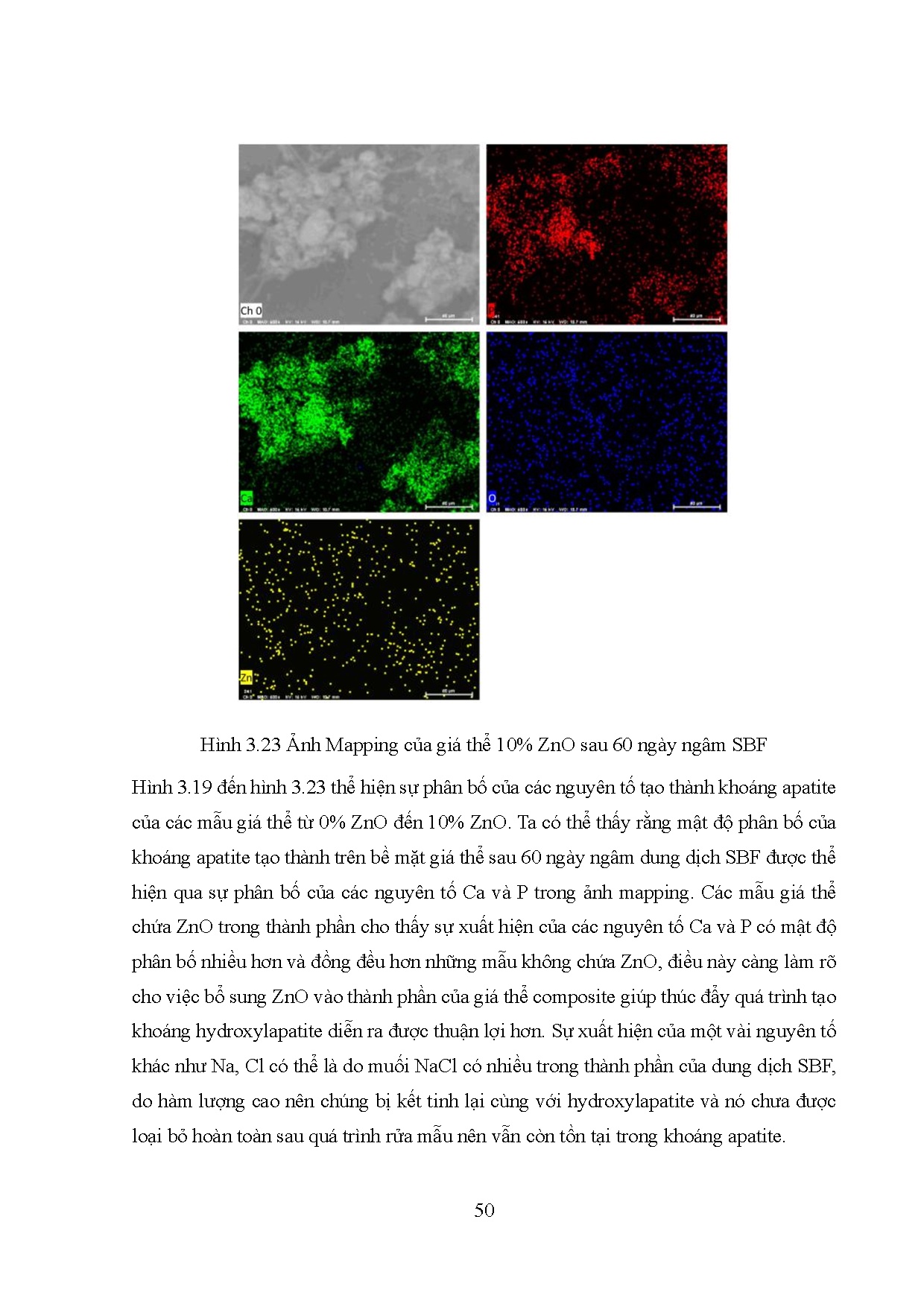 Đồ án tốt nghiệp - Nghiên cứu tổng hợp 3D Nanocomposite tinh bột/PVA/HA/ZnO dùng làm giá thể cho X - Trang 69