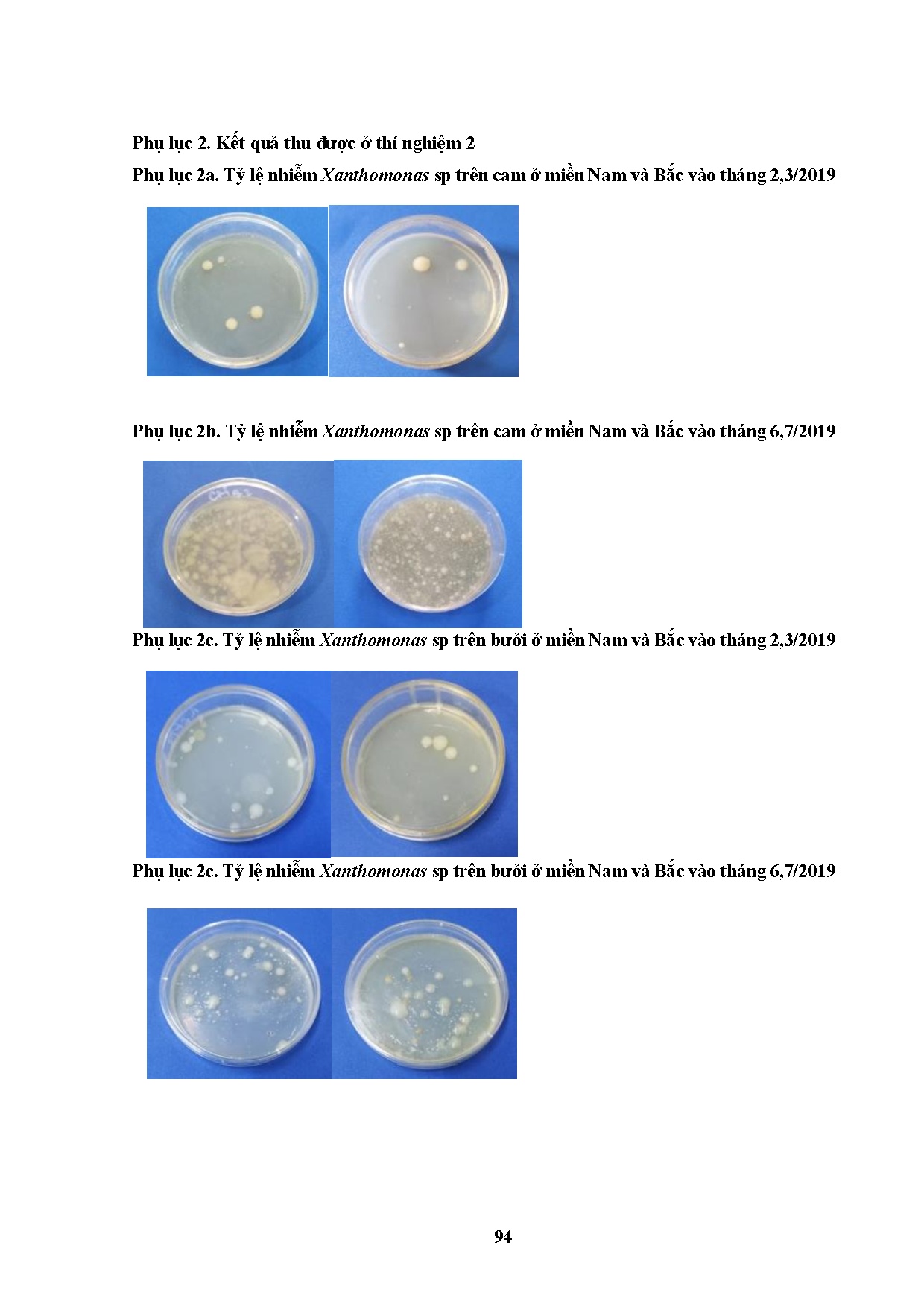 Đồ án tốt nghiệp - Nghiên cứ kết hợp các biện pháp xử lý và chiếu xạ kiểm dịch vi KGBTMQVNGBTTTQCM - Trang 124