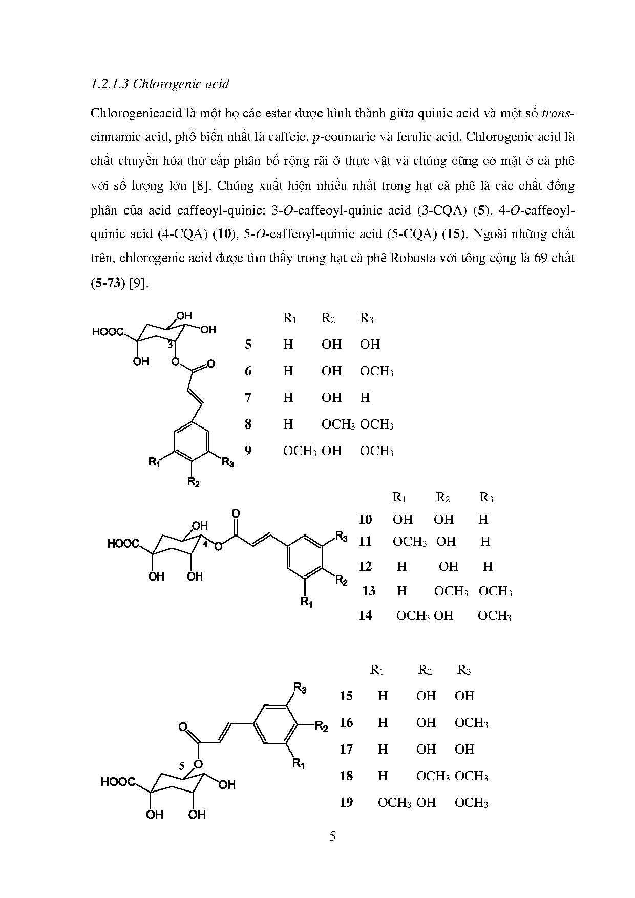 Ảnh một số trang tài liệu