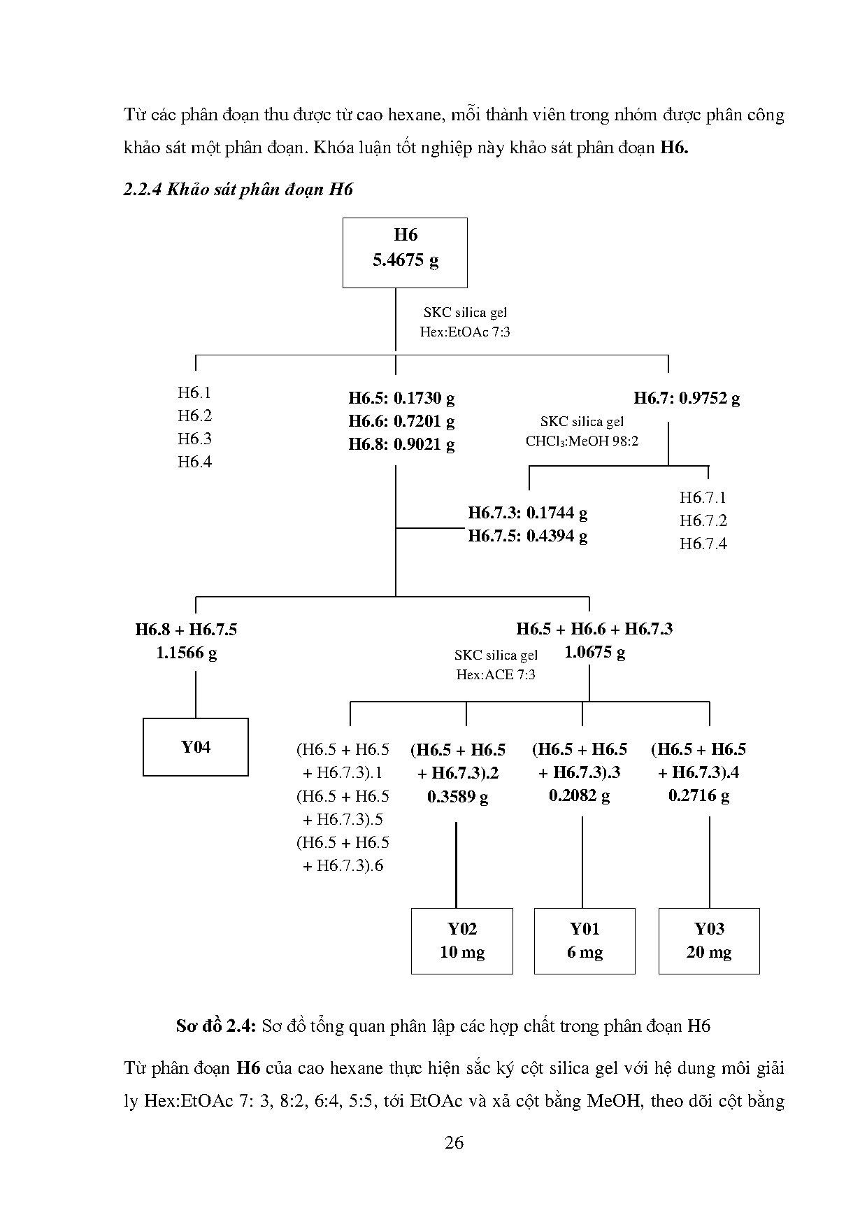 Ảnh một số trang tài liệu