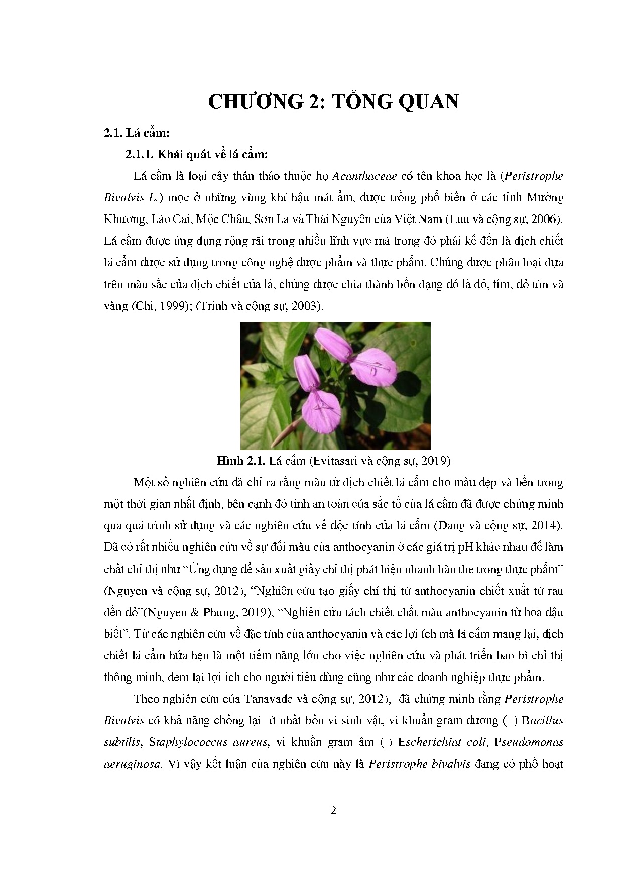 Ảnh một số trang tài liệu