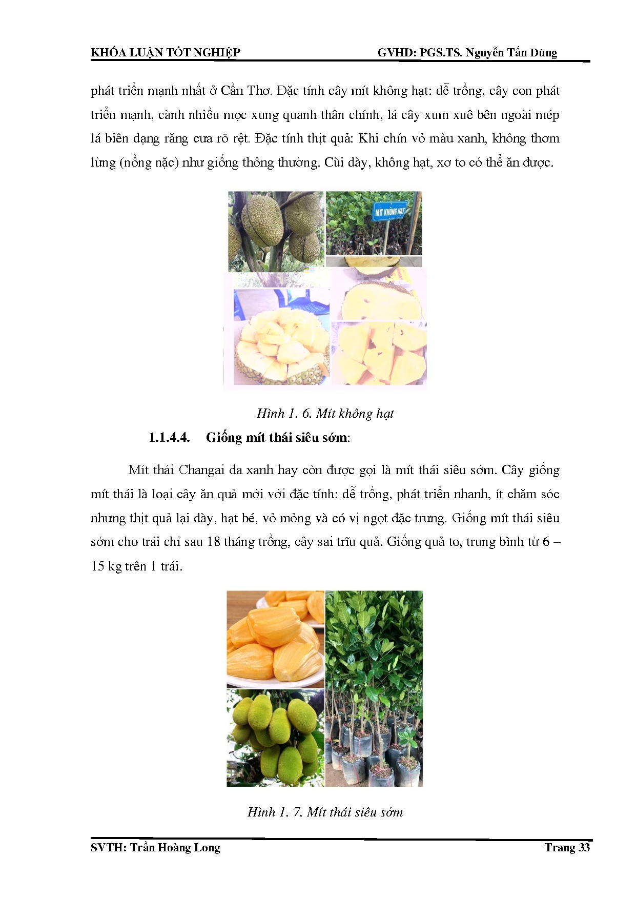 Đồ án tốt nghiệp - Nghiên cứu Tính toán Thiết kế hệ thống sấy bằng bức xạ hồng ngoại, với NS 1 NLM - Trang 33