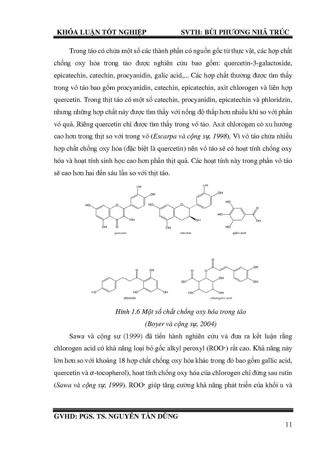 Đồ án tốt nghiệp - Nghiên cứu quy trình công nghệ nước ép táo bằng phương pháp lạnh đông chậm - Trang 35