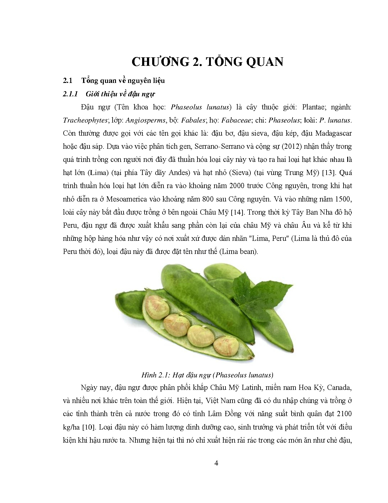 Ảnh một số trang tài liệu