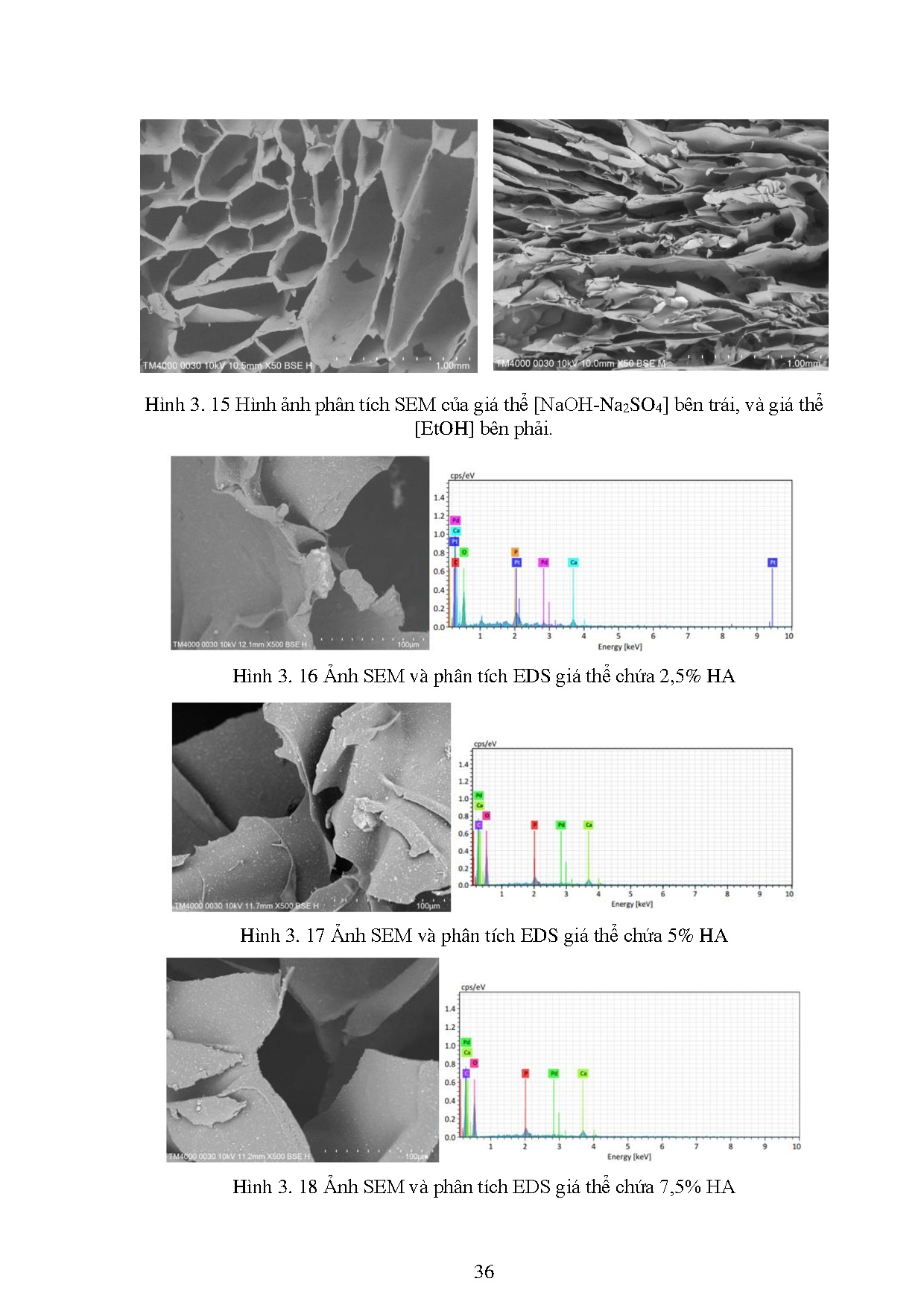 Ảnh một số trang tài liệu