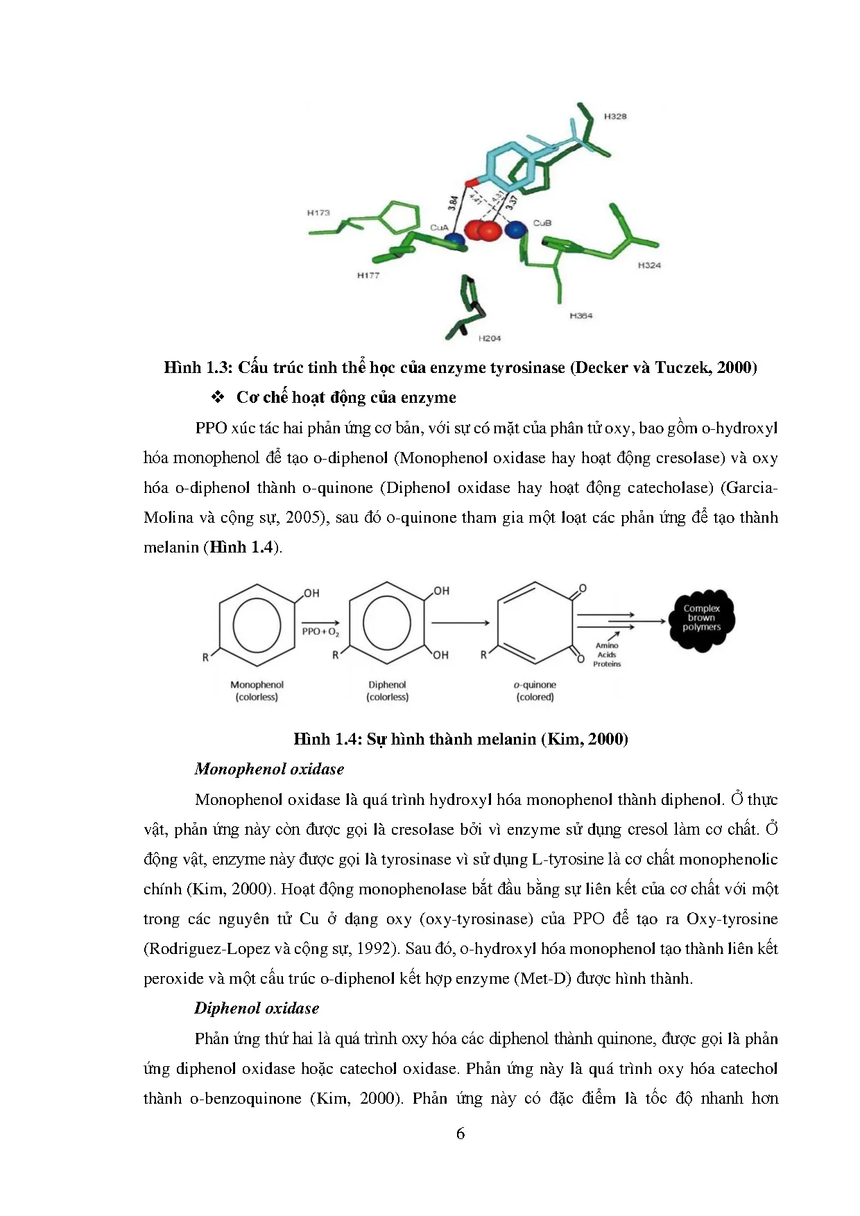 Đồ án tốt nghiệp - Nghiên cứu hoạt tính kháng oxy hóa, ức chế Tyrosinase của cao trích vỏ HĐ ( OVK . - Trang 30