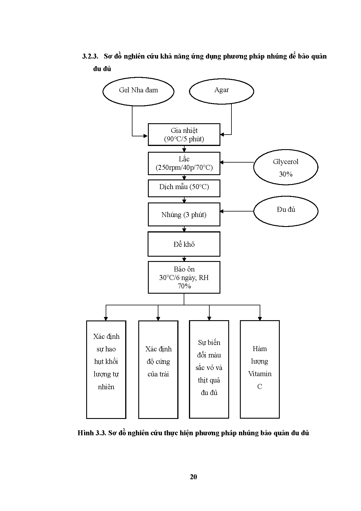 Ảnh một số trang tài liệu
