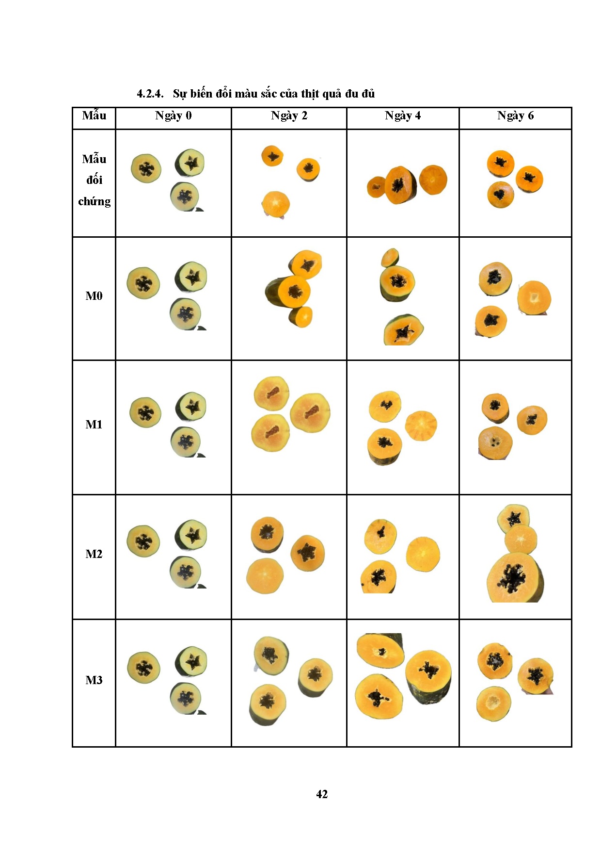 Ảnh một số trang tài liệu