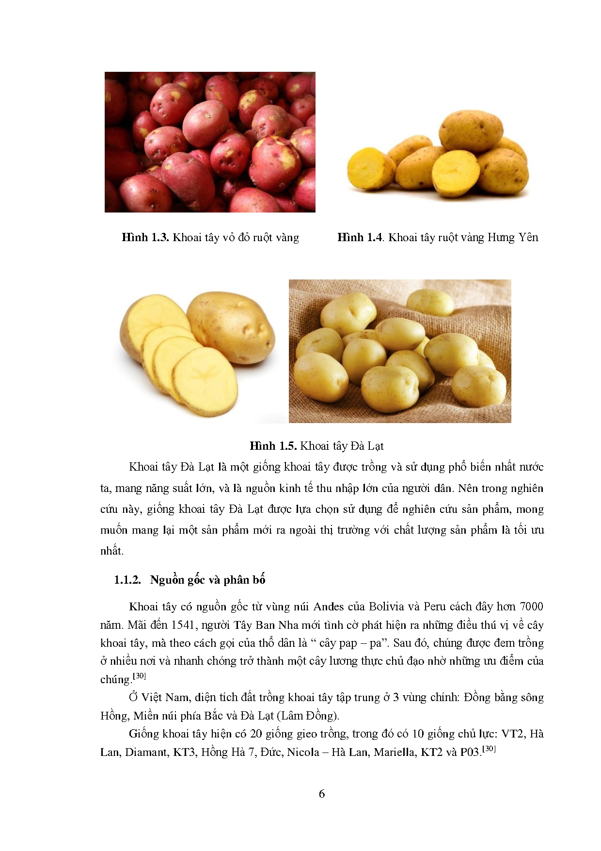 Ảnh một số trang tài liệu