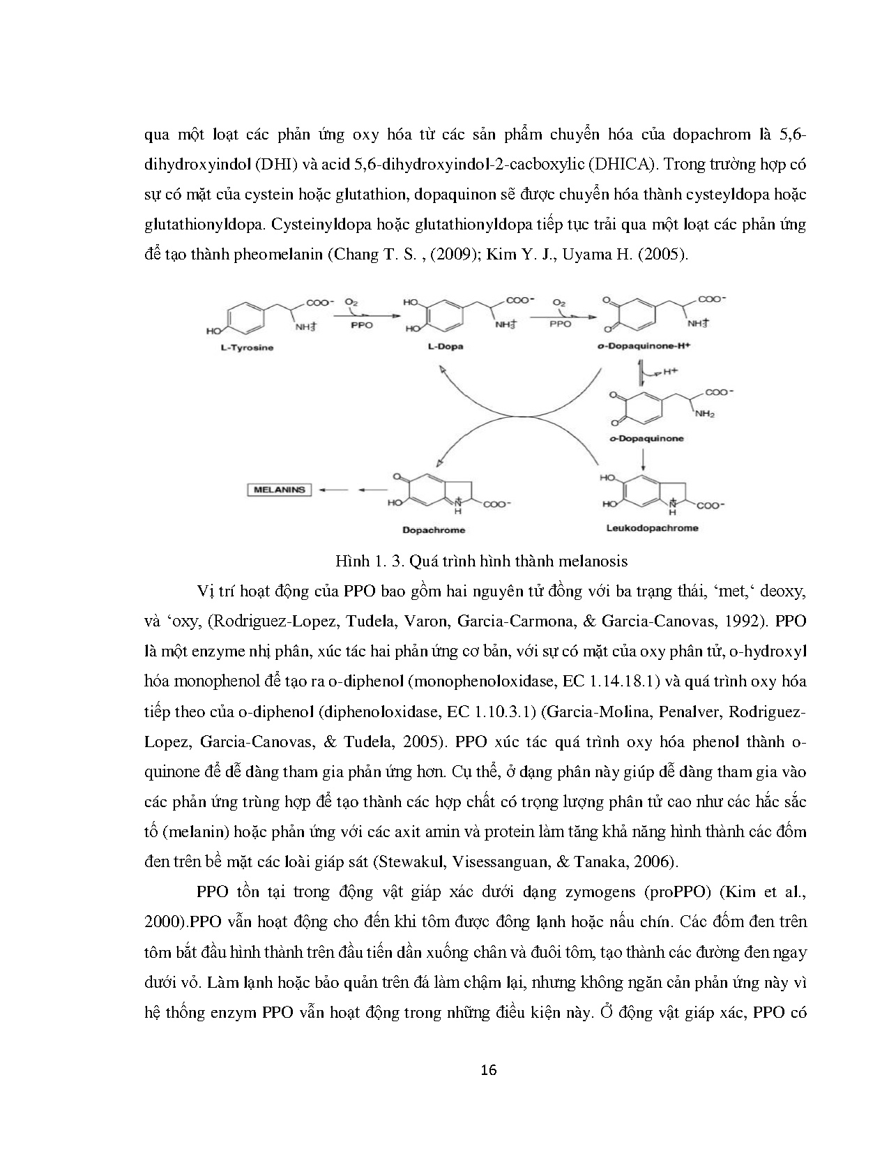 Ảnh một số trang tài liệu