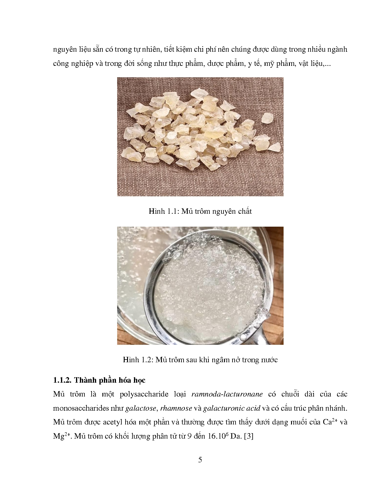 Ảnh một số trang tài liệu