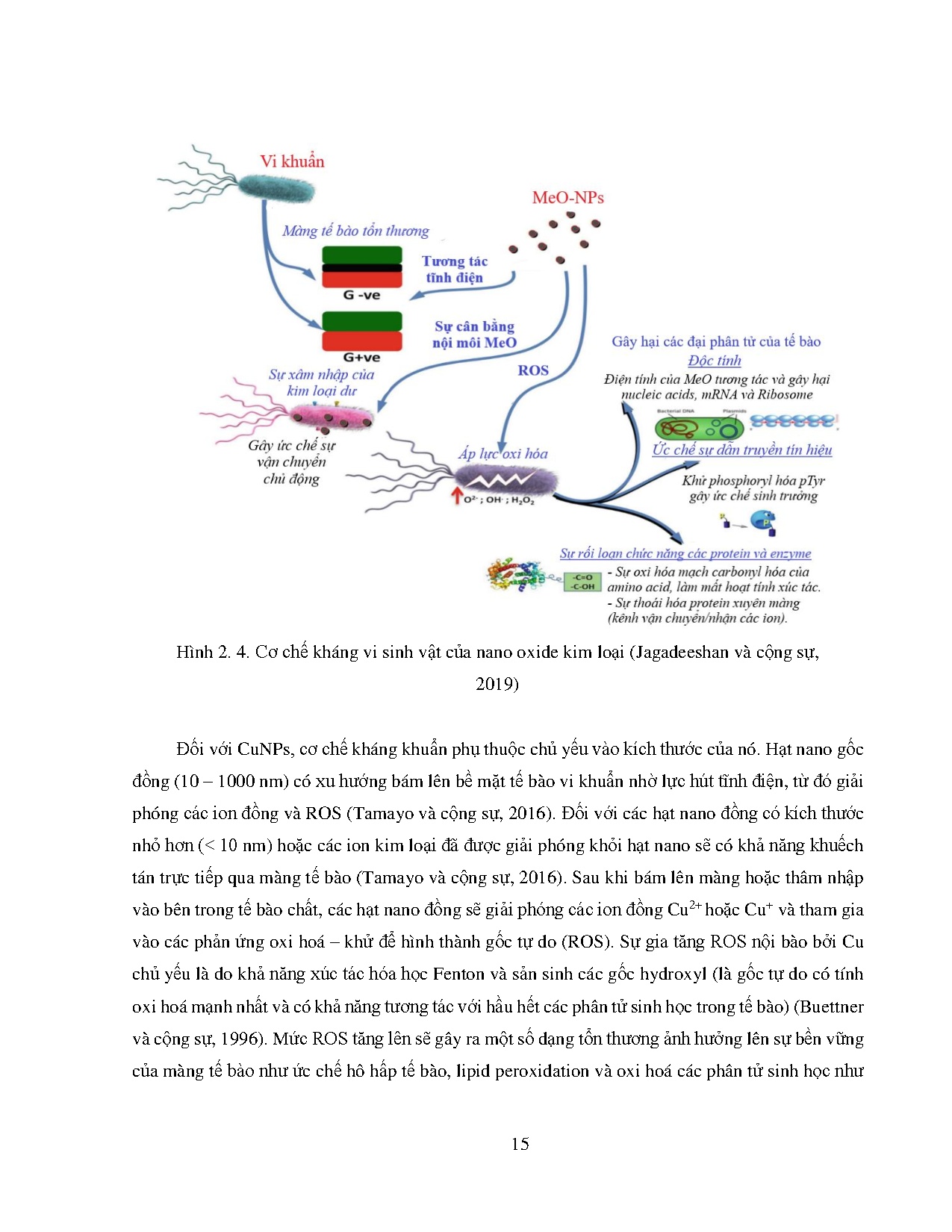 Ảnh một số trang tài liệu
