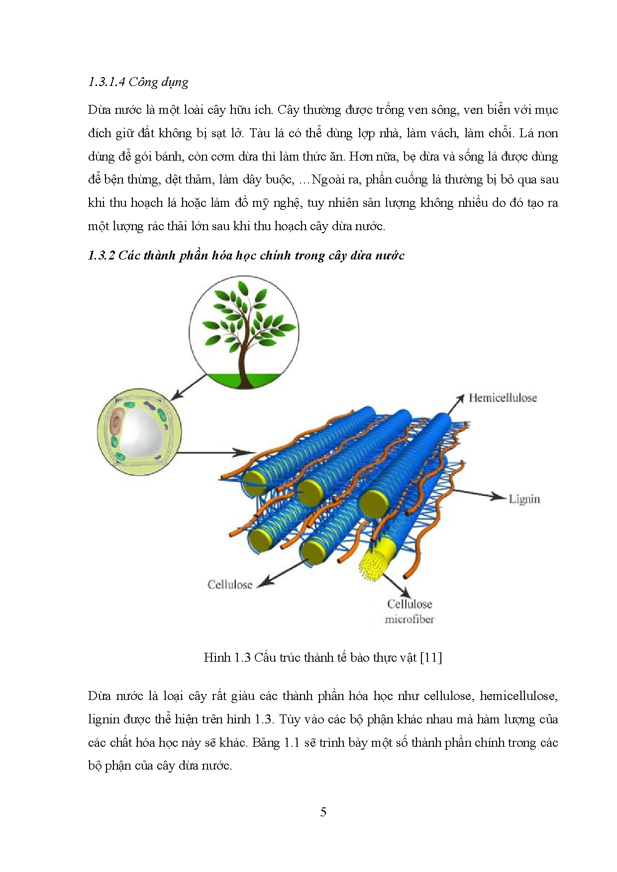 Ảnh một số trang tài liệu