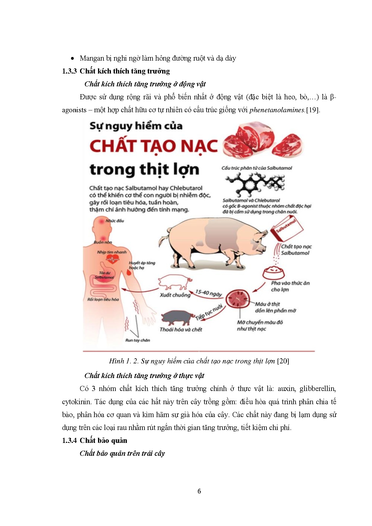 Ảnh một số trang tài liệu